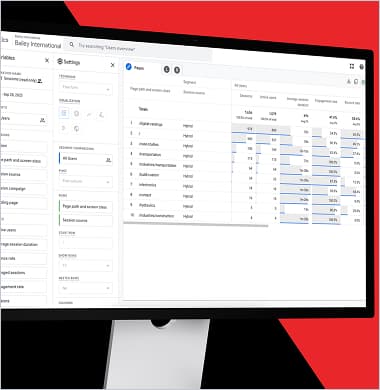Google Analytics dashboard for Bailey International